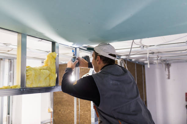 Best Wall Insulation Installation  in Hauula, HI