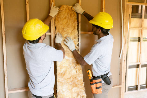 Best Basement Insulation  in Hauula, HI